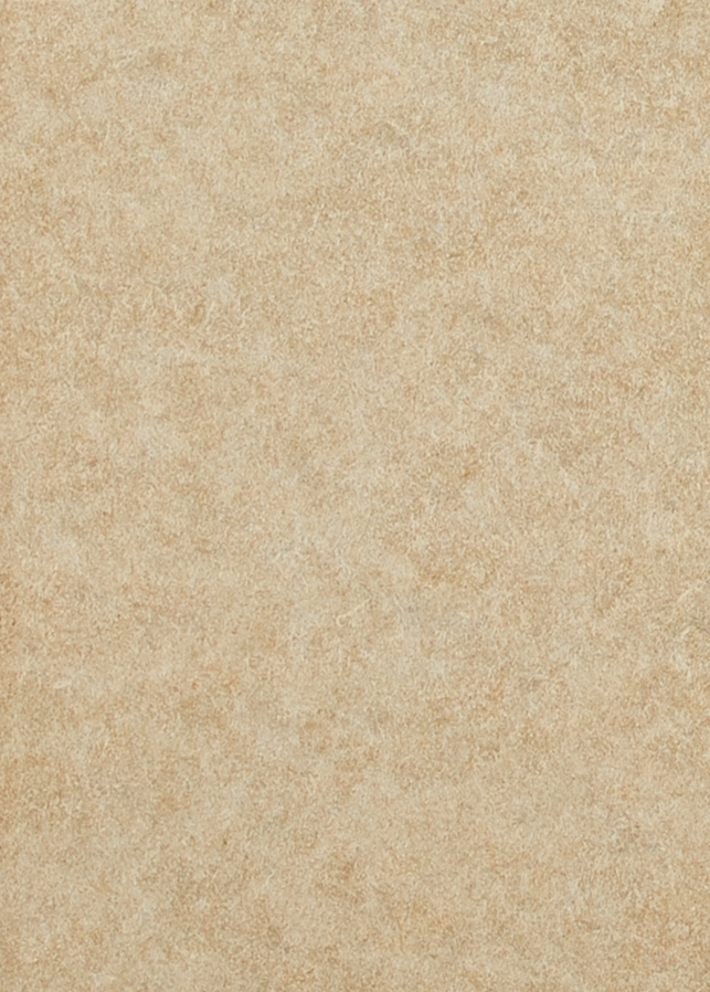 EP-206 Light Beige